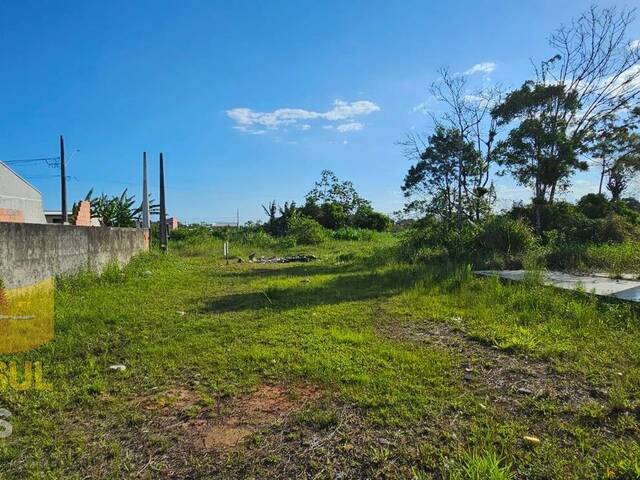 #T162 - Terreno para Venda em Guaratuba - PR