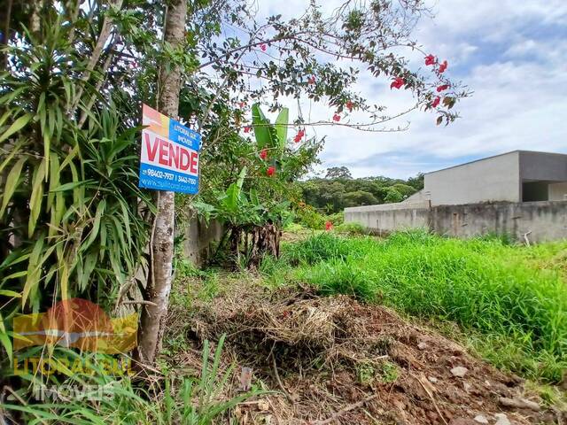 #T164 - Terreno para Venda em Guaratuba - PR