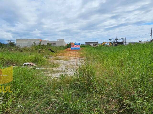 #T166 - Terreno para Venda em Guaratuba - PR